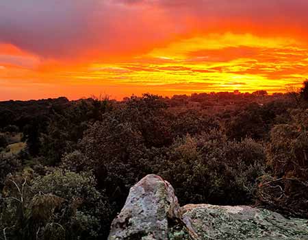 Foto del atardecer en la finca