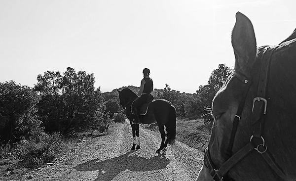 Imagen de Paseos a caballo en Madrid